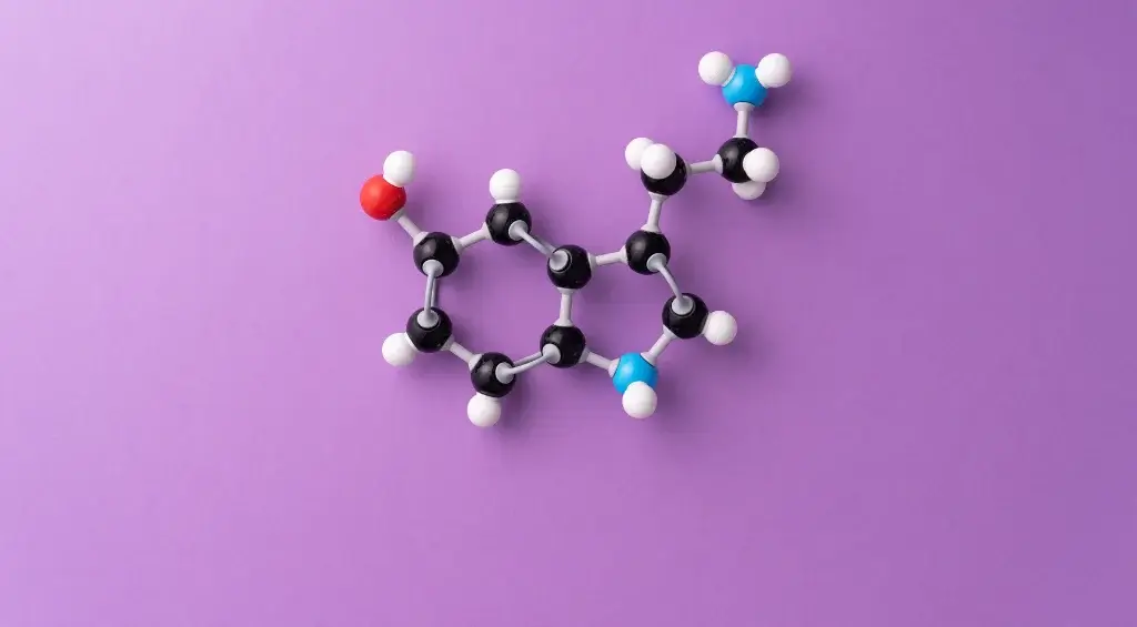 o que é metabolismo
